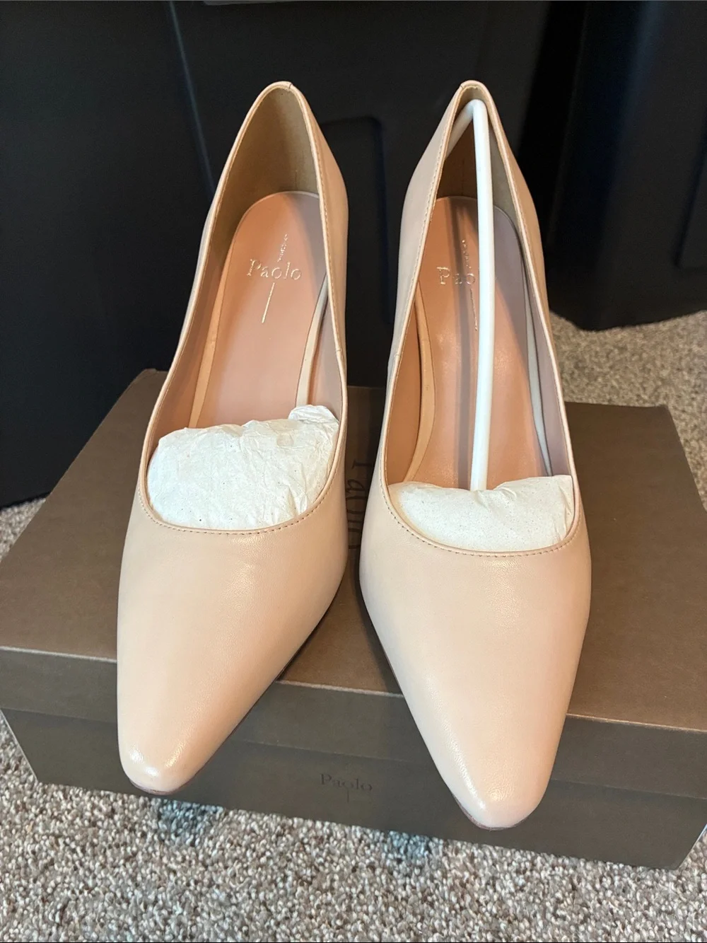 Paolo Pointed Toe Stiletto Pumps - Blush Nude